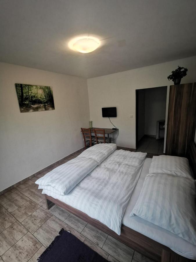 Apartmany Pod Landstejnem Stare Mesto  Екстер'єр фото